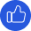 icon1